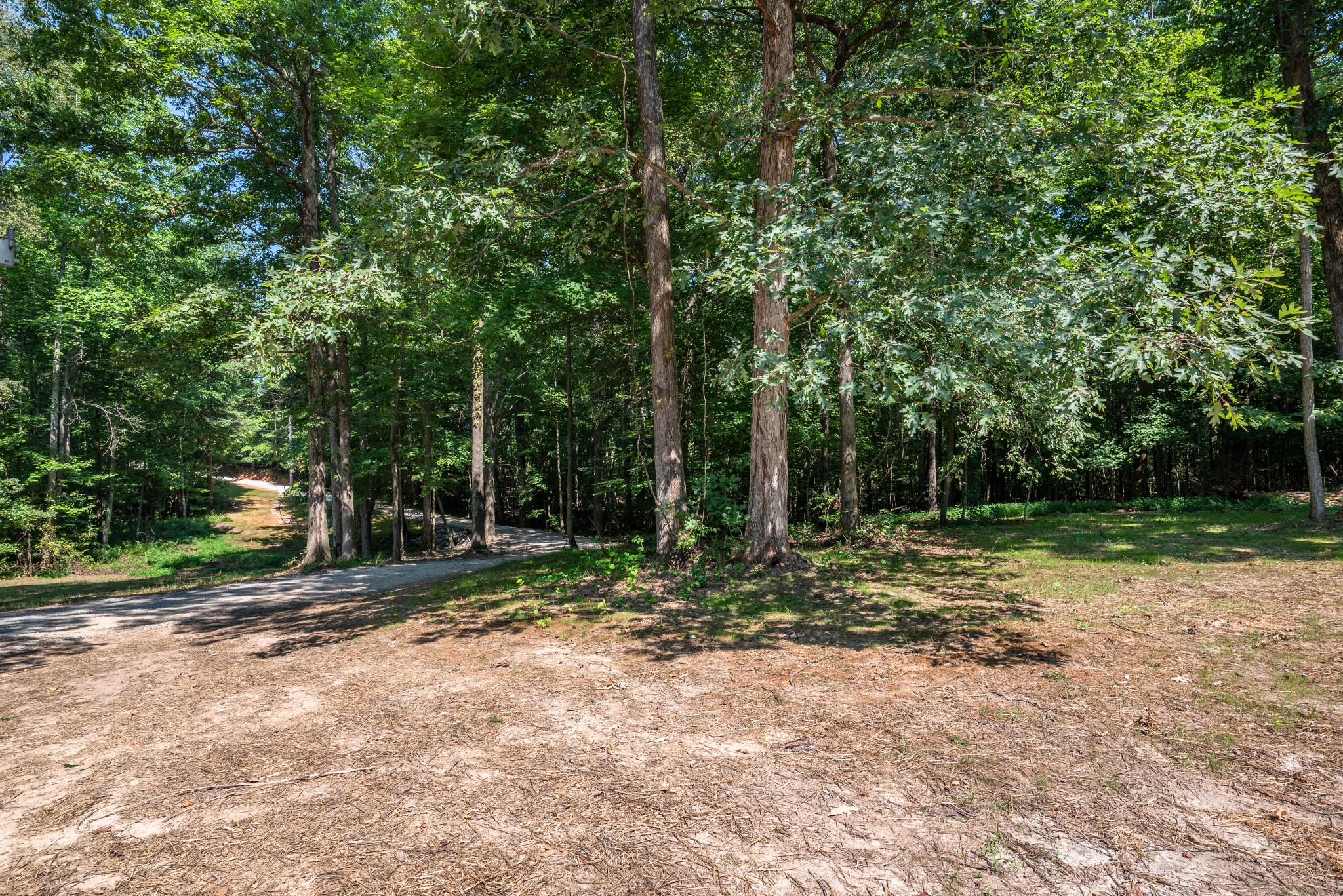 9064 New Chapel Road Springfield, TN 37172 - Photo 27 of 33 a view of outdoor space with trees