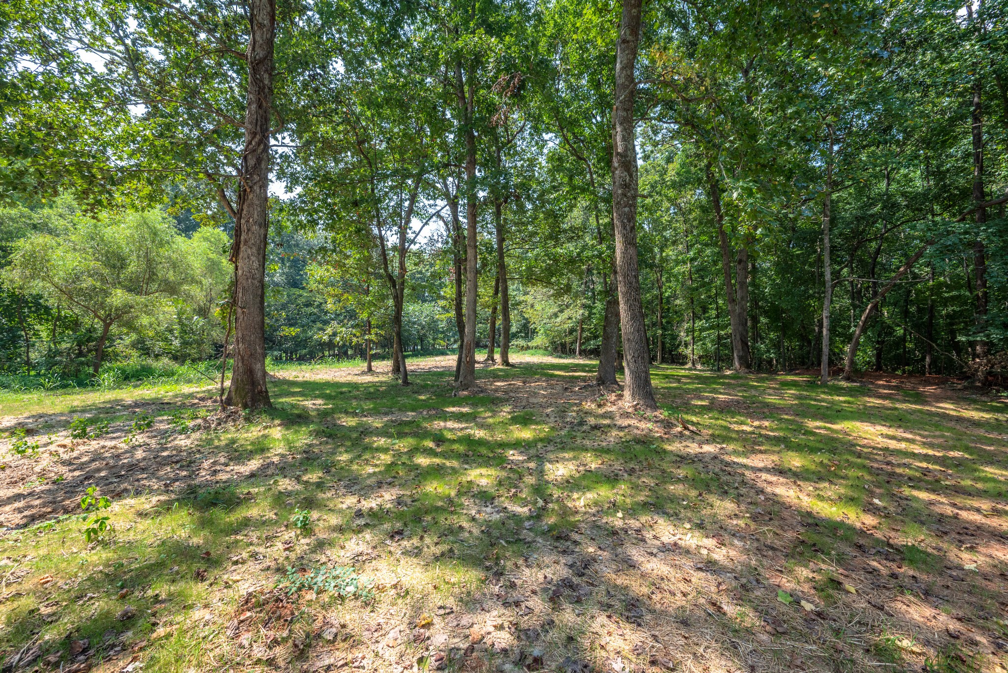 9064 New Chapel Road Springfield, TN 37172 - Photo 29 of 33 a view of outdoor space with trees