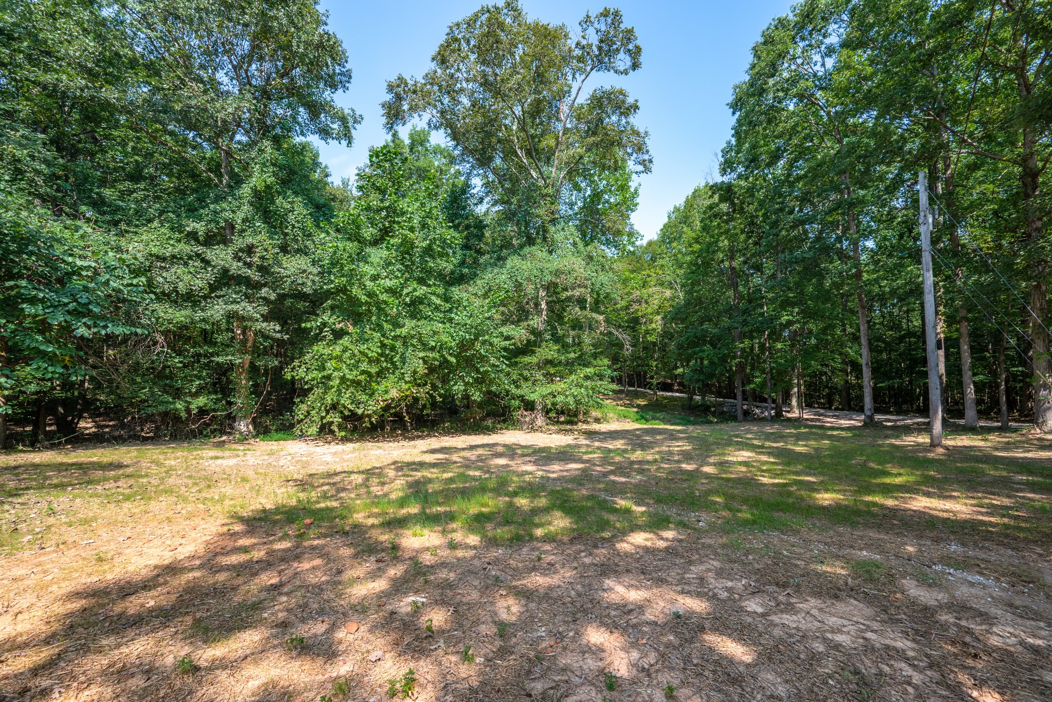 9064 New Chapel Road Springfield, TN 37172 - Photo 32 of 33 a view of a trees with a trees