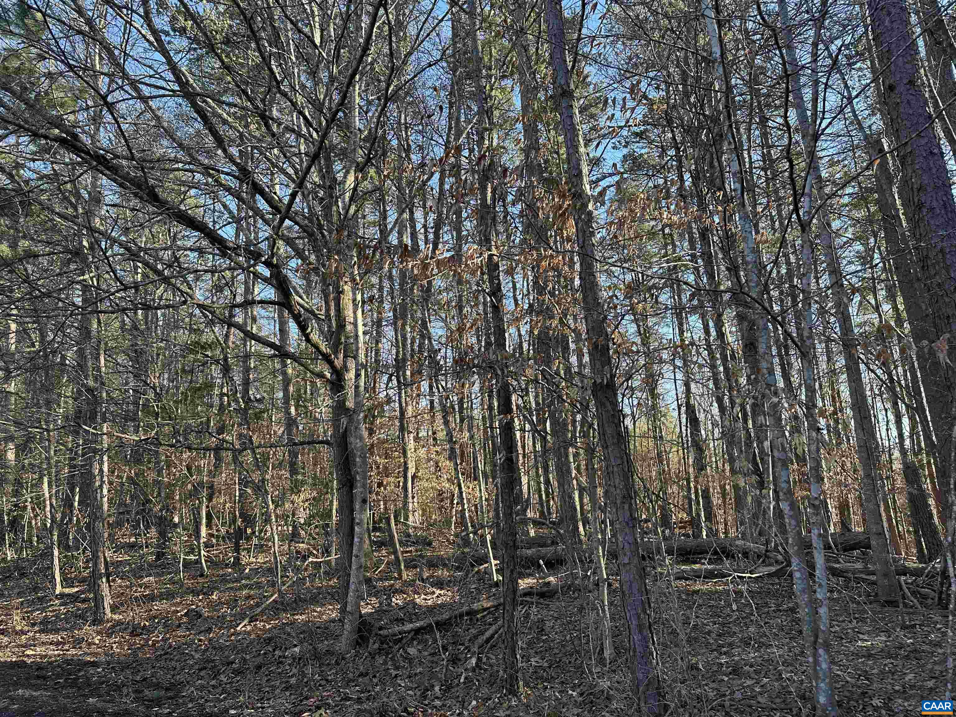 0 Sulphur Mine Road Charlottesville, VA 22911 - Photo 1 of 5 Gallery Image 1
