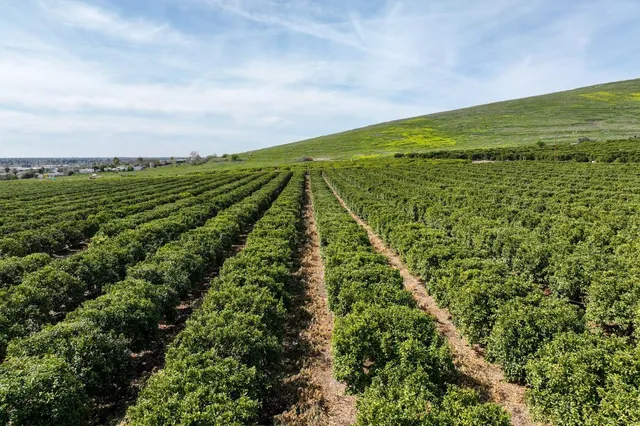 $3,771,725 | 0 West Reid Avenue, Porterville, CA 93257