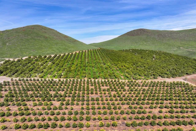 $3,771,725 | 0 West Reid Avenue, Porterville, CA 93257