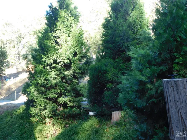 a view of a house with a tree
