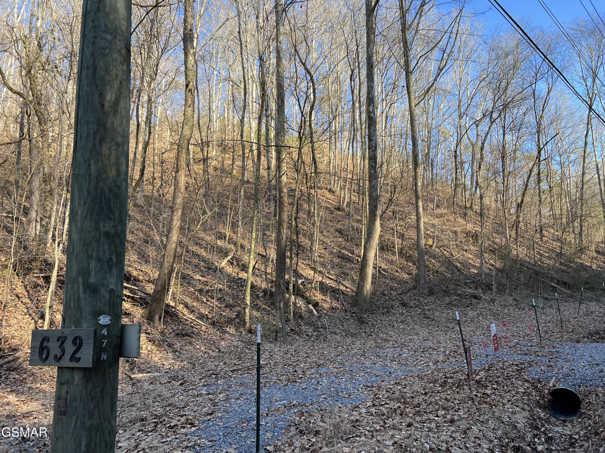 1 Indian Gap Road Sevierville, TN 37876 - Photo 3 of 9