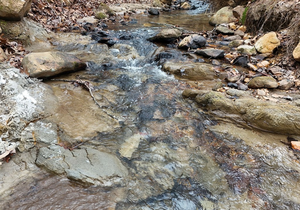266 Mabry Lane Morganton, GA 30560 - Photo 17 of 37 a close up of a tree
