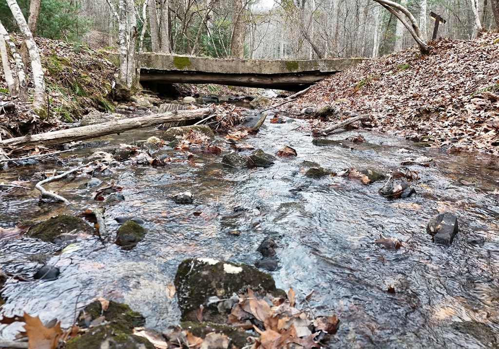 266 Mabry Lane Morganton, GA 30560 - Photo 19 of 37 a view of house with a yard