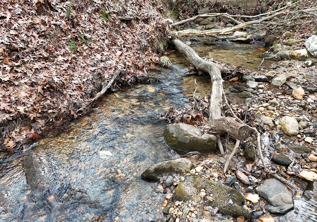 266 Mabry Lane Morganton, GA 30560 - Photo 20 of 37