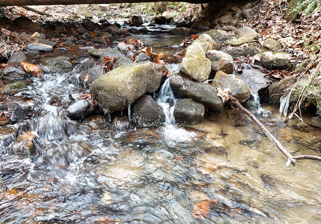266 Mabry Lane Morganton, GA 30560 - Photo 21 of 37 a backyard of a house with lots of green space