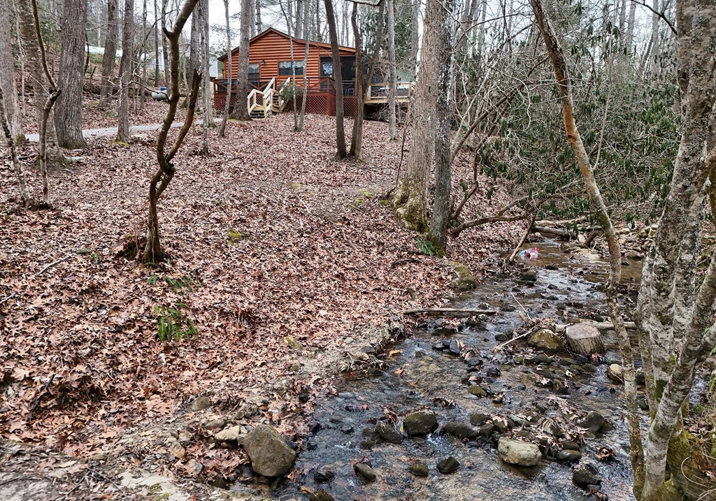 266 Mabry Lane Morganton, GA 30560 - Photo 22 of 37 a backyard of a house with lots of green space