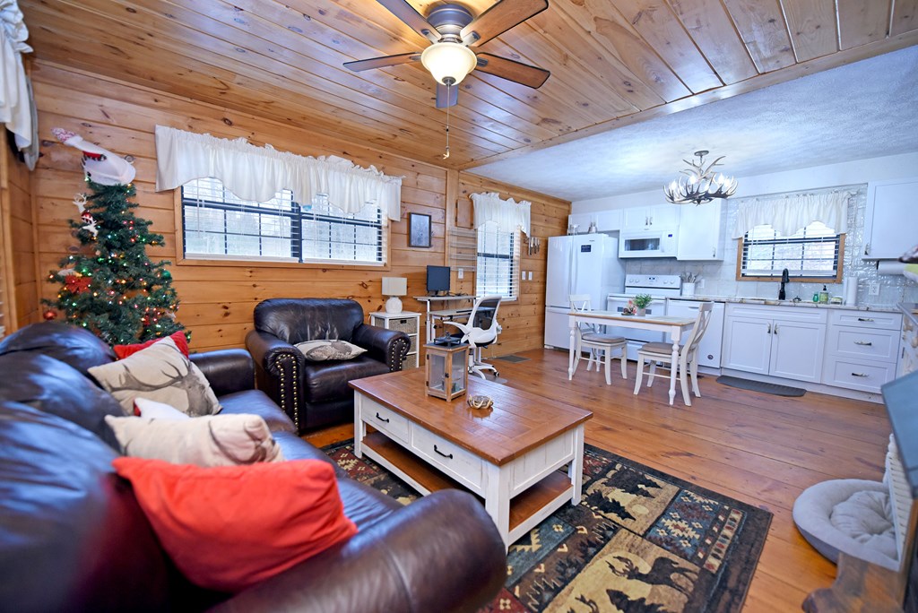 266 Mabry Lane Morganton, GA 30560 - Photo 26 of 37 a living room with furniture and a large window