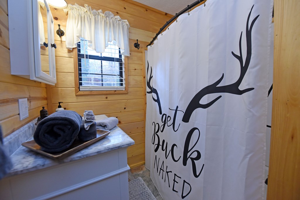 266 Mabry Lane Morganton, GA 30560 - Photo 37 of 37 a bathroom with a sink and a mirror