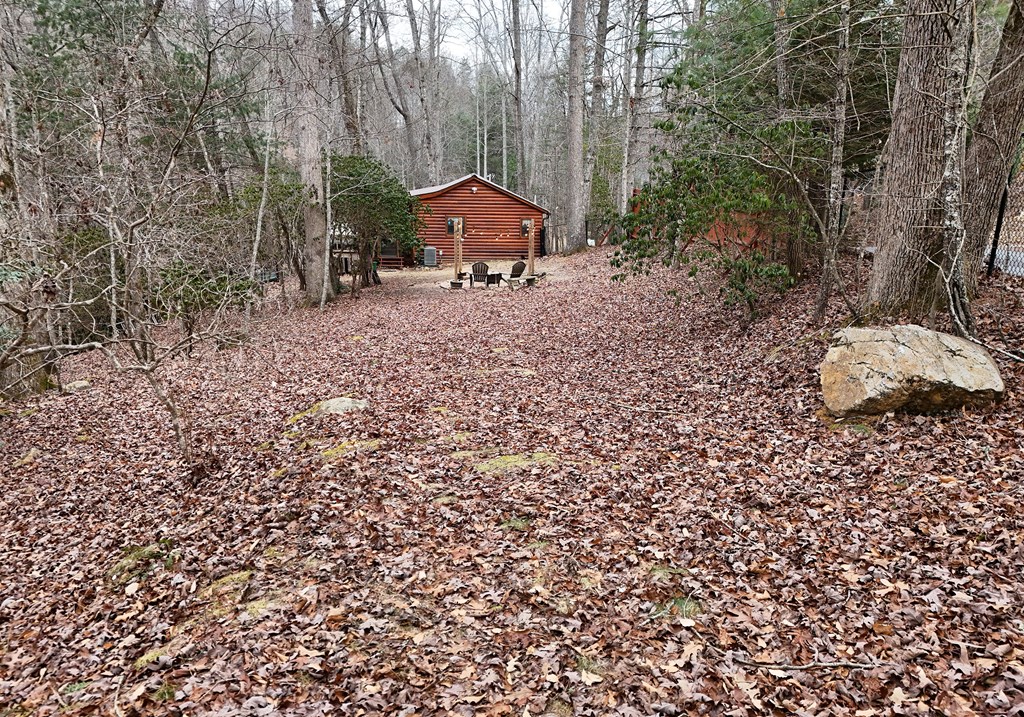 266 Mabry Lane Morganton, GA 30560 - Photo 7 of 37 a backyard of a house with table and chairs