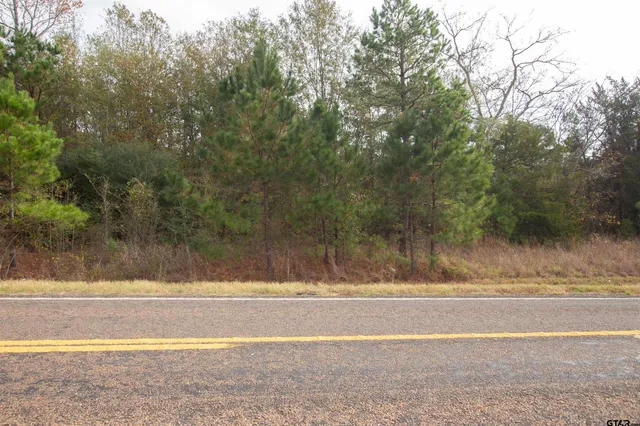 a view of a swimming pool and a yard