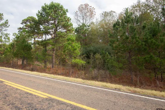 a view of a bathroom with a small yard