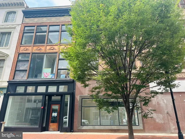 a bedroom with a bed a couch and a potted plant