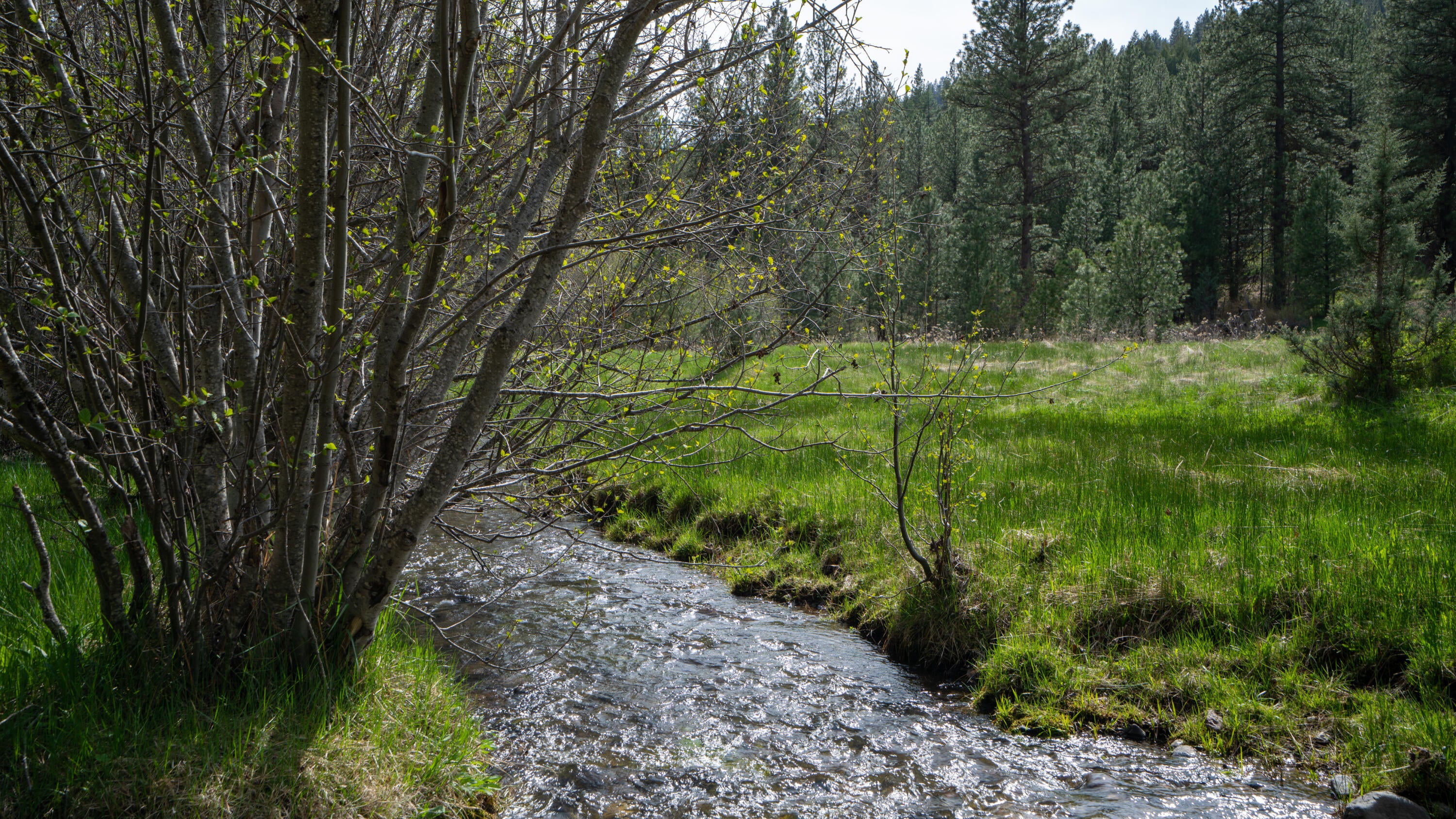 Keeney Fork Rd Prairie Prairie City, OR 97869 - Photo 58 of 61 DSC00883 - Copy