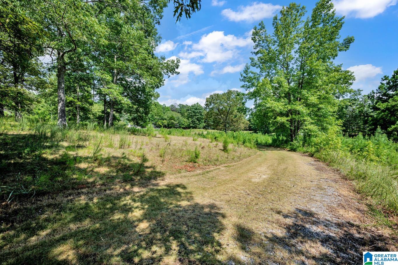 587 Mountain Drive Remlap, AL 35133 - Photo 25 of 34