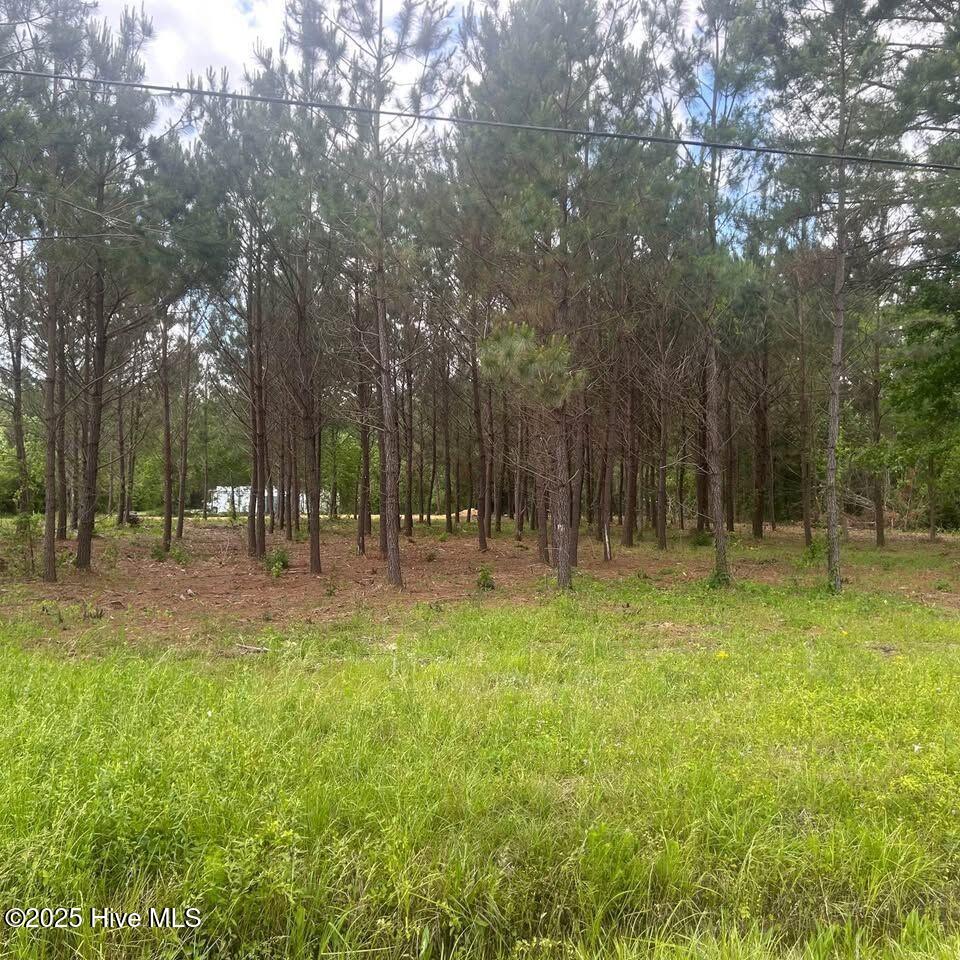 159 King Road Jacksonville, NC 28540 - Photo 2 of 2 2
