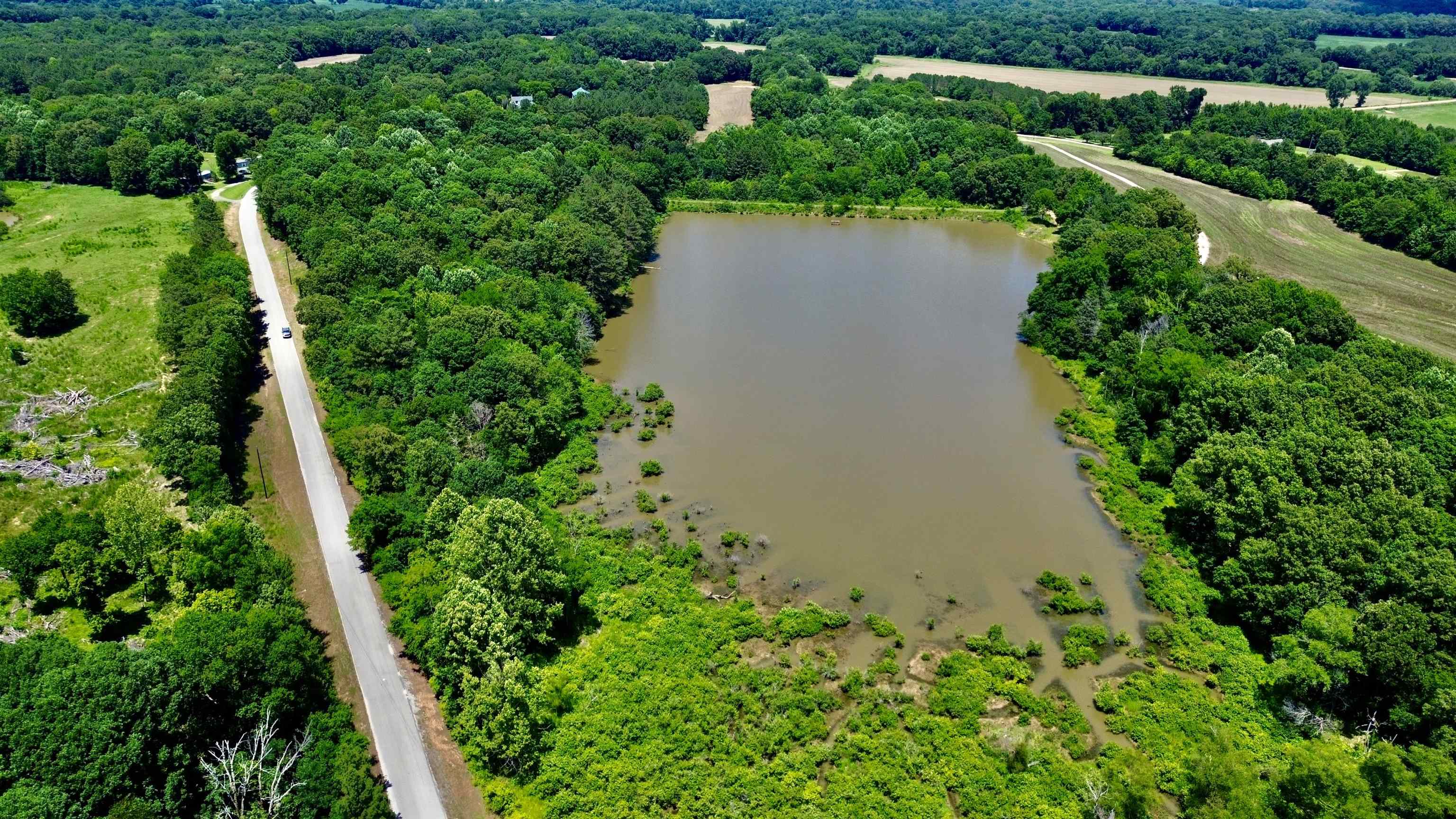 40.37-ac Smyrna Road Somerville, TN 38068 - Photo 12 of 16