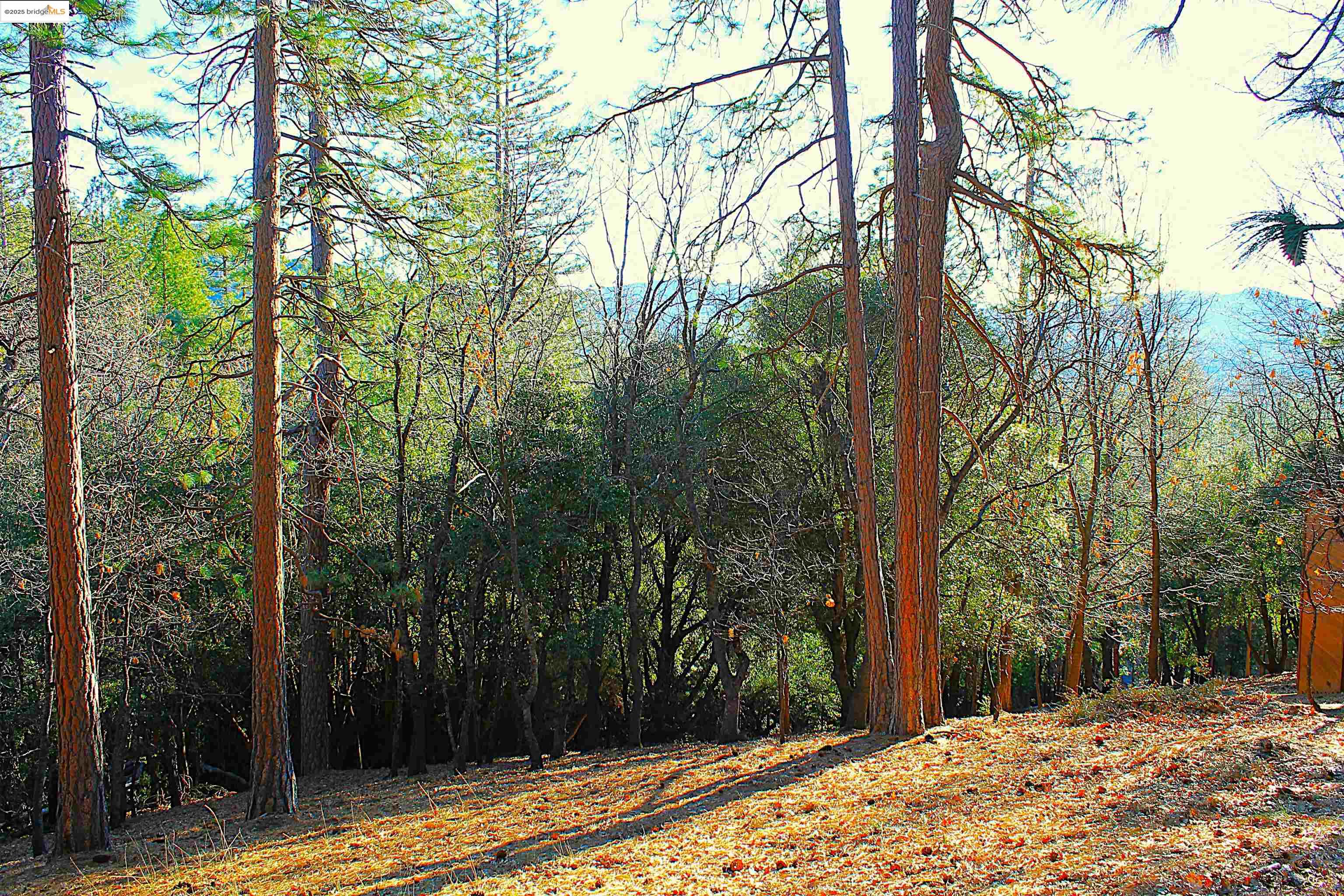 23753 Rusty Spur Road Sonora, CA 95370 - Photo 1 of 1