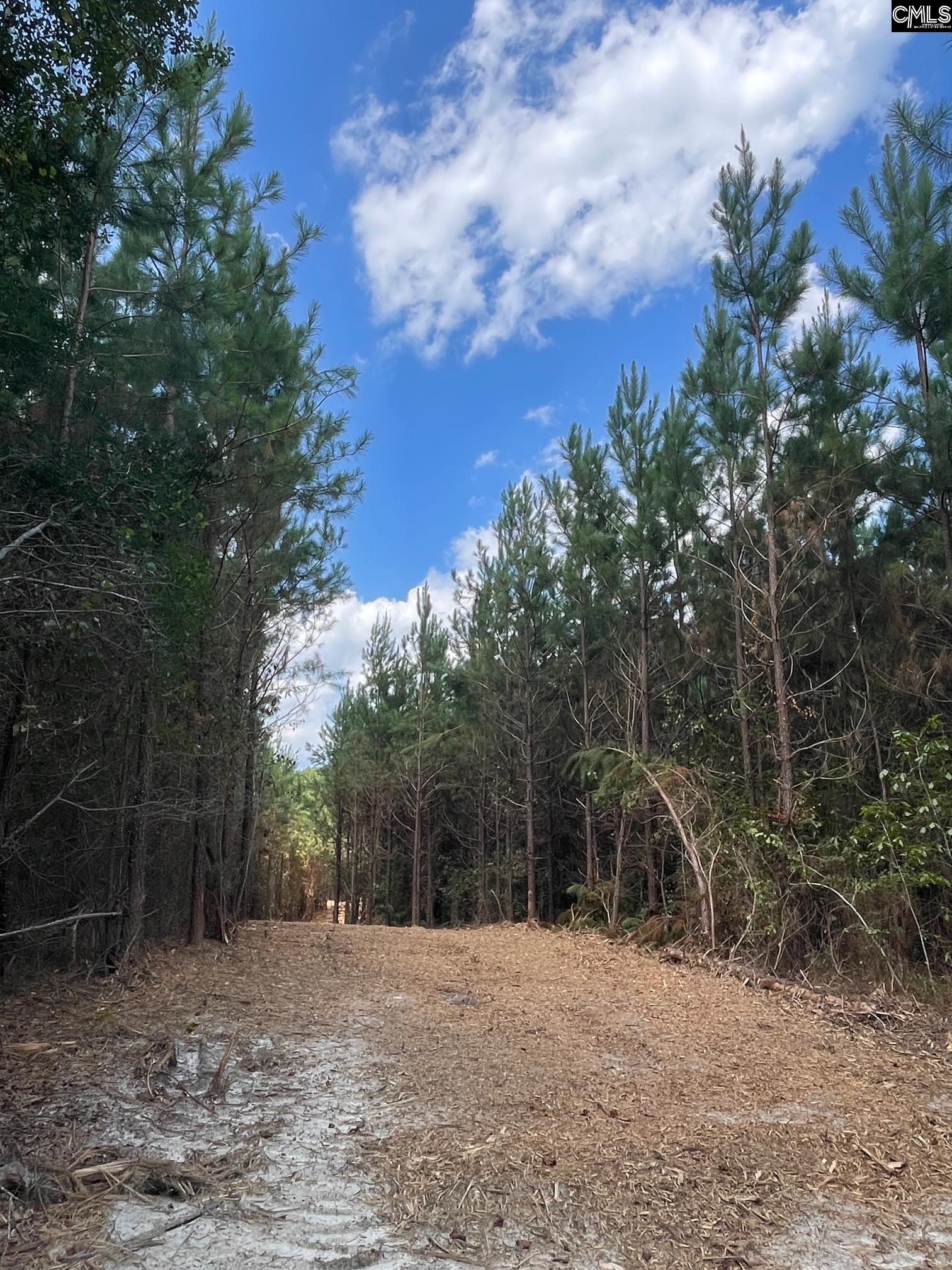 0 Lake Elliott Road Cassatt, SC 29032 - Photo 5 of 8