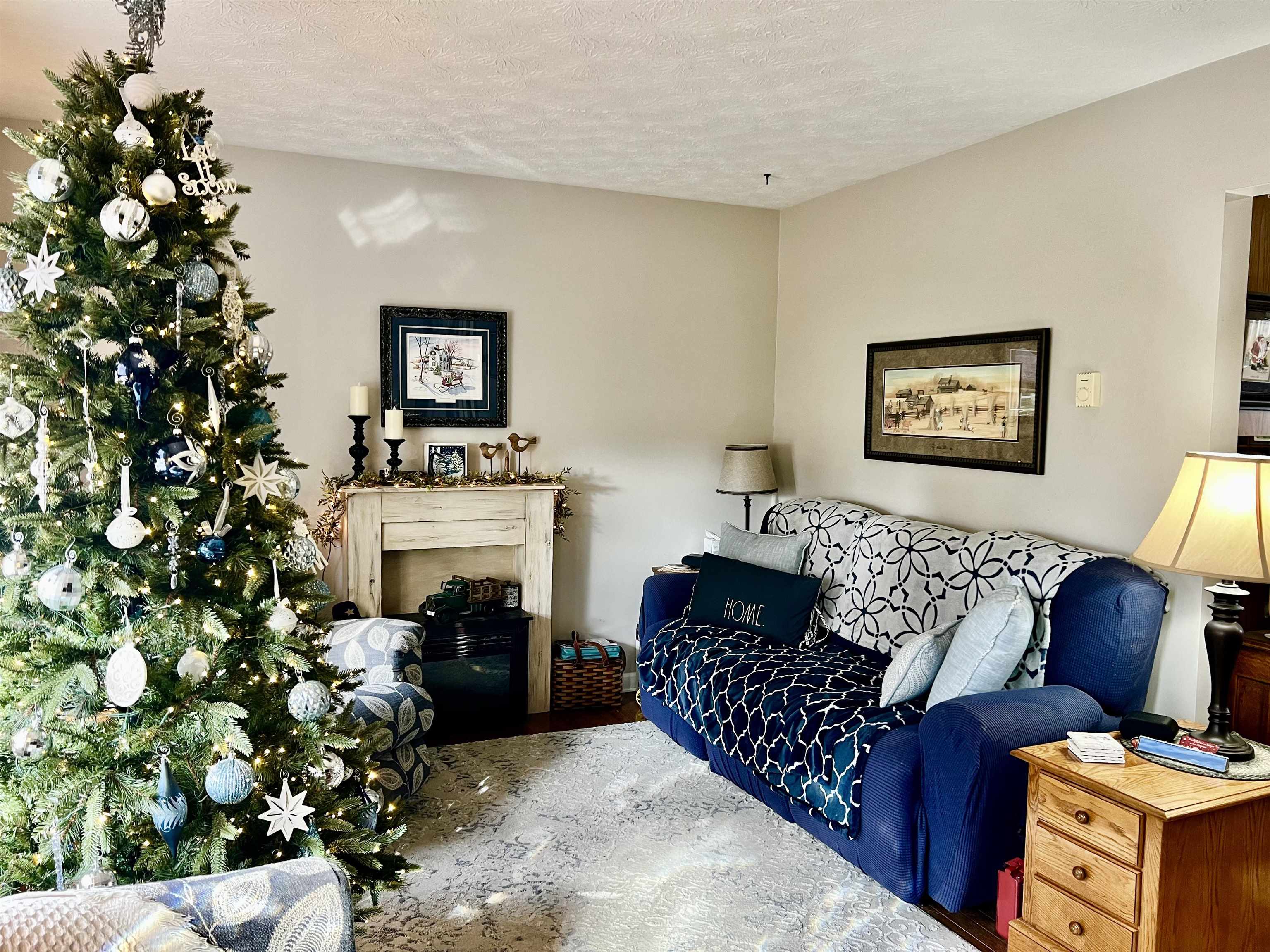 8346 Spring Creek Road Bridgewater, VA 22812 - Photo 7 of 16 a living room with furniture and a fireplace