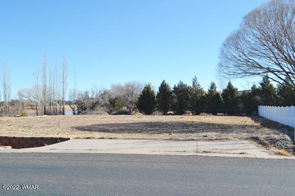 2442 Lake Road Snowflake, AZ 85937 - Photo 38 of 44 Gallery Image 38