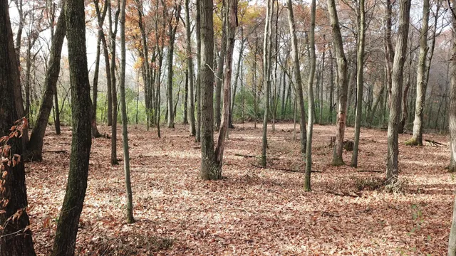 $218,900 | Tbdx Tbdx 165th Avenue Southeast, Clear Lake, MN 55319