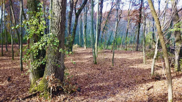 $218,900 | Tbdx Tbdx 165th Avenue Southeast, Clear Lake, MN 55319