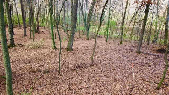 $218,900 | Tbdx Tbdx 165th Avenue Southeast, Clear Lake, MN 55319