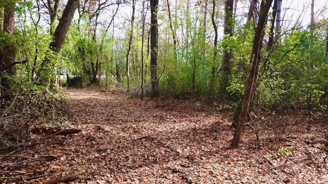 $219,900 | Tbdx Tbdx 165th Avenue Southeast, Clear Lake, MN 55319