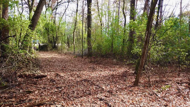 $218,900 | Tbdx Tbdx 165th Avenue Southeast, Clear Lake, MN 55319