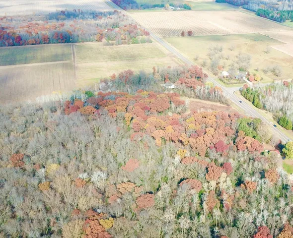 $218,900 | Tbdx Tbdx 165th Avenue Southeast, Clear Lake, MN 55319