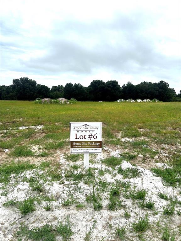 38797 Ranch Gate Boulevard Umatilla, FL 32784 - Photo 1 of 3