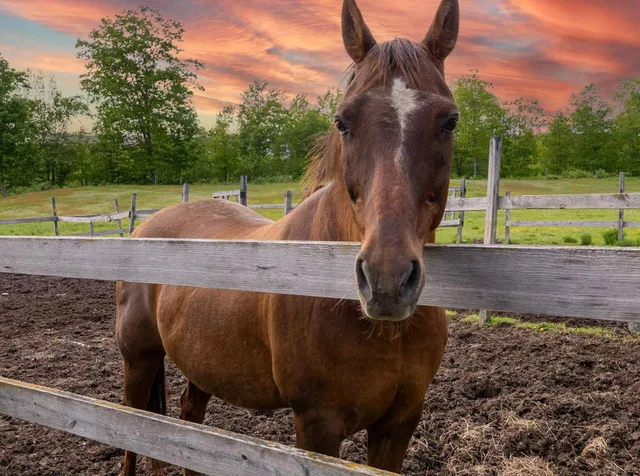 $415,000 | 309 N Road, Winterport, ME 04496