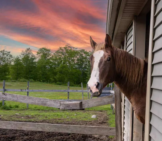 $415,000 | 309 N Road, Winterport, ME 04496