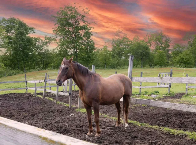 $415,000 | 309 N Road, Winterport, ME 04496