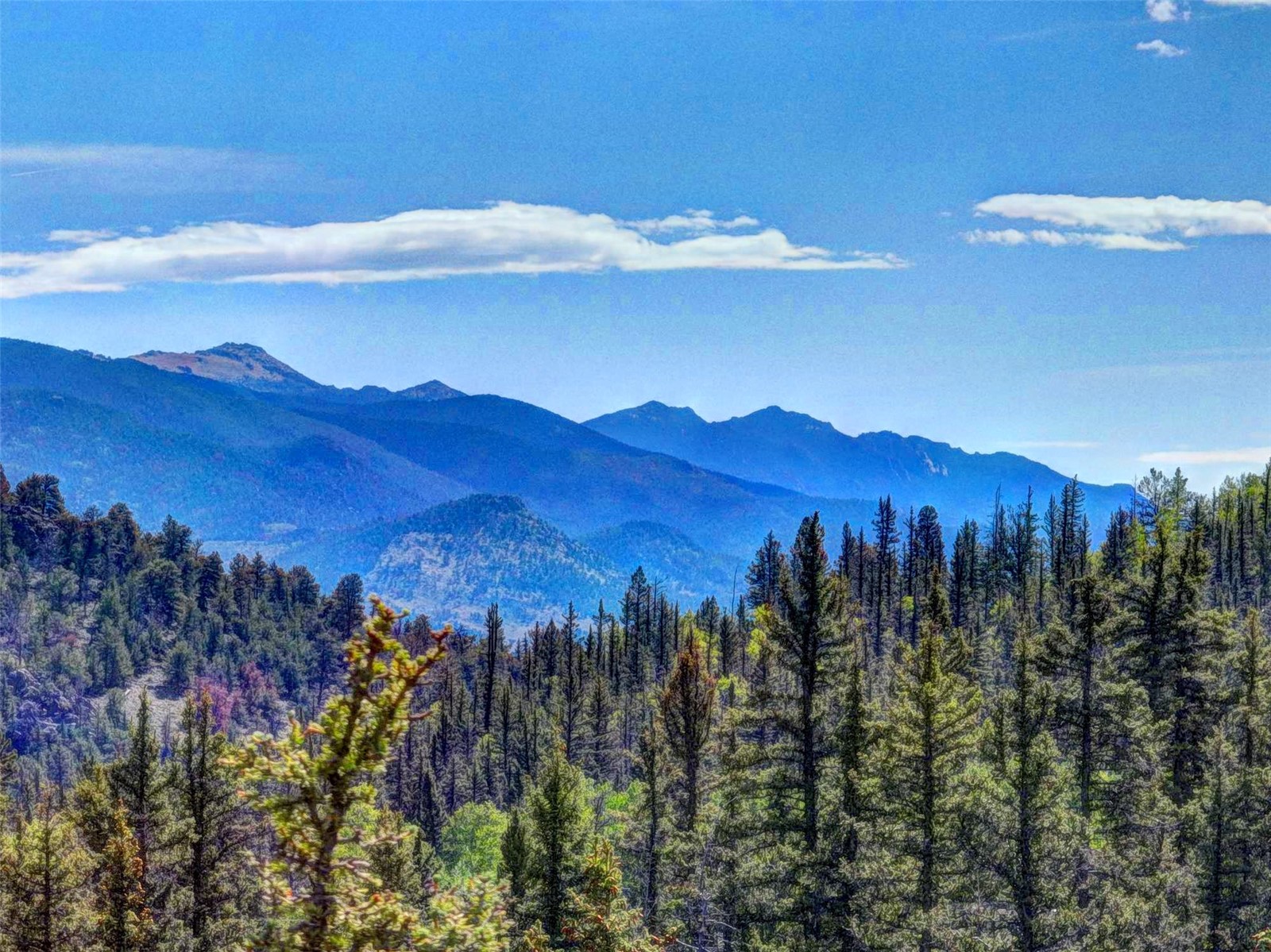 75 Swiggler Road Jefferson, CO 80456 - Photo 1 of 40 Gallery Image 1