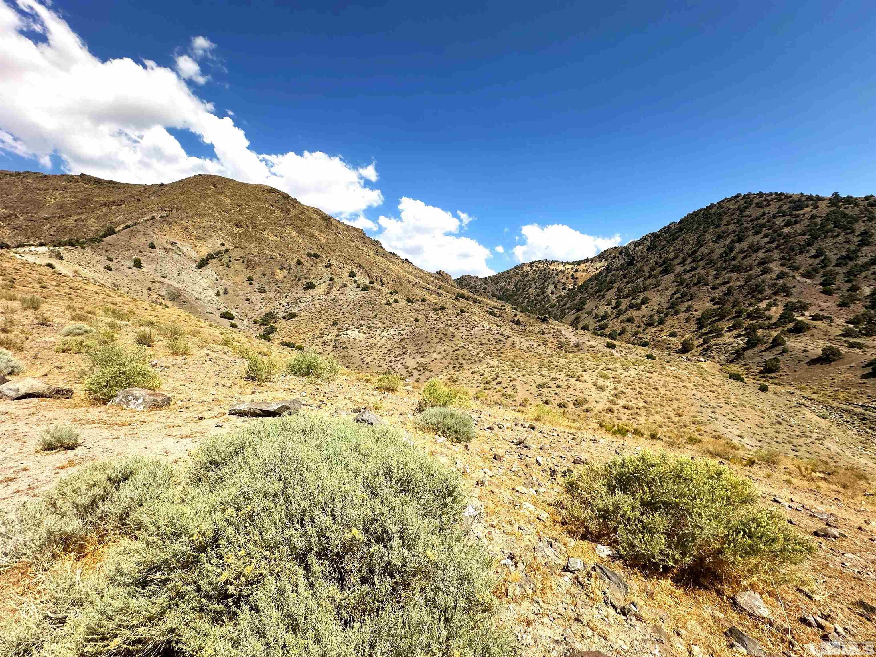 7750 Rough Rock Drive, Unit LOT #2 Reno, NV 89502 - Photo 13 of 29 Photo 15