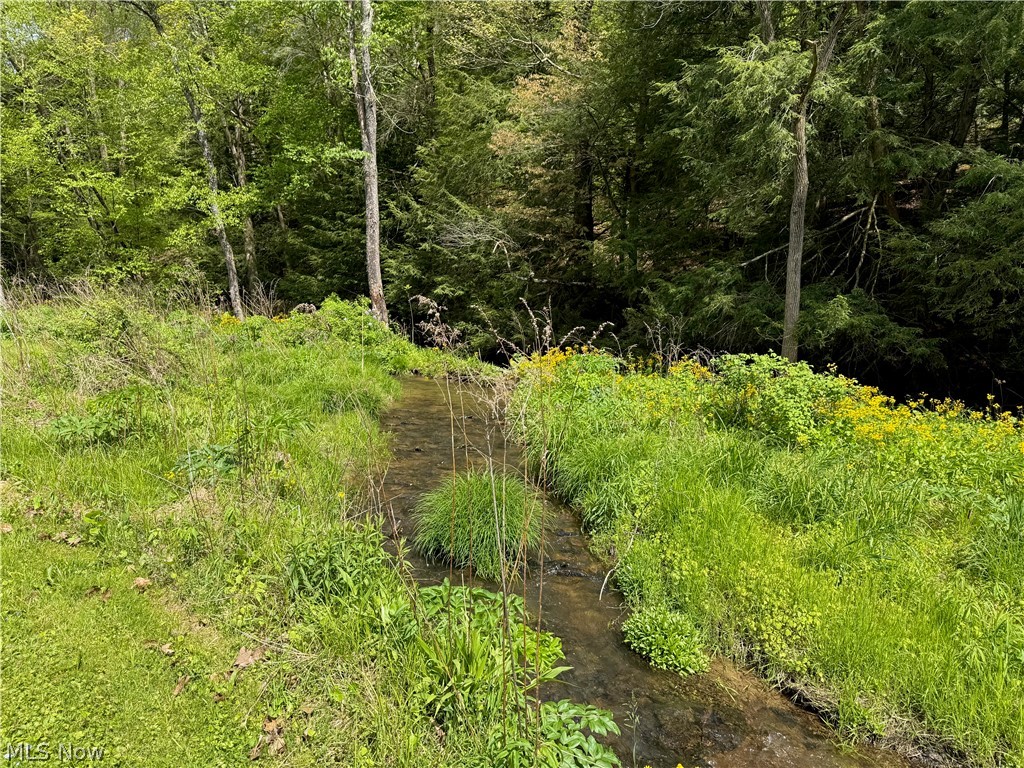 11811 Gaston Road Rogers, OH 44455 - Photo 12 of 38 Rough Run Creek runs into Beaver Creek through this property. Listen to the water as you stroll through your property and enjoy the sounds of nature!