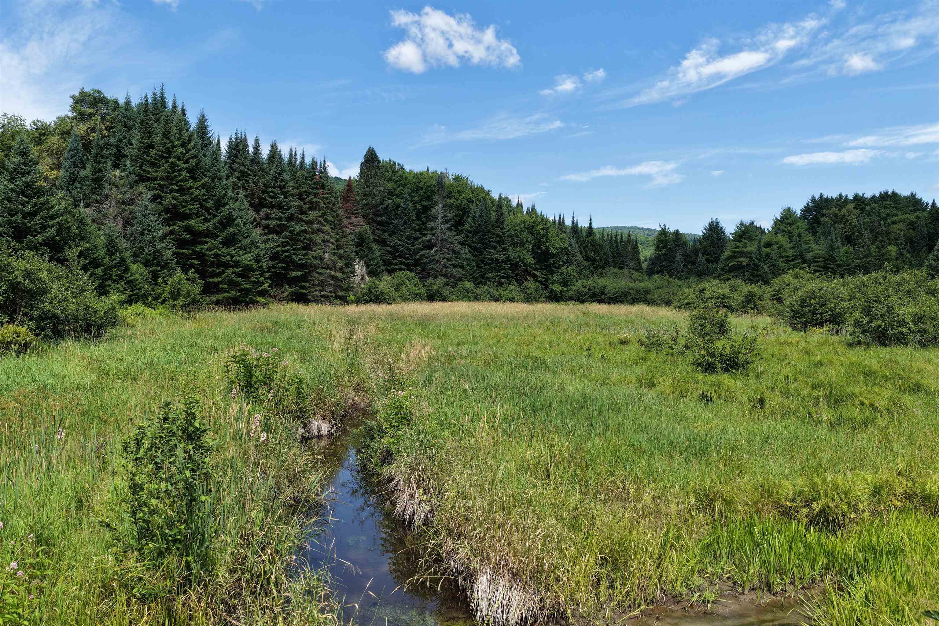 4766 Duck Pond Road Waterford, VT 05819 - Photo 8 of 13 Gallery Image 8