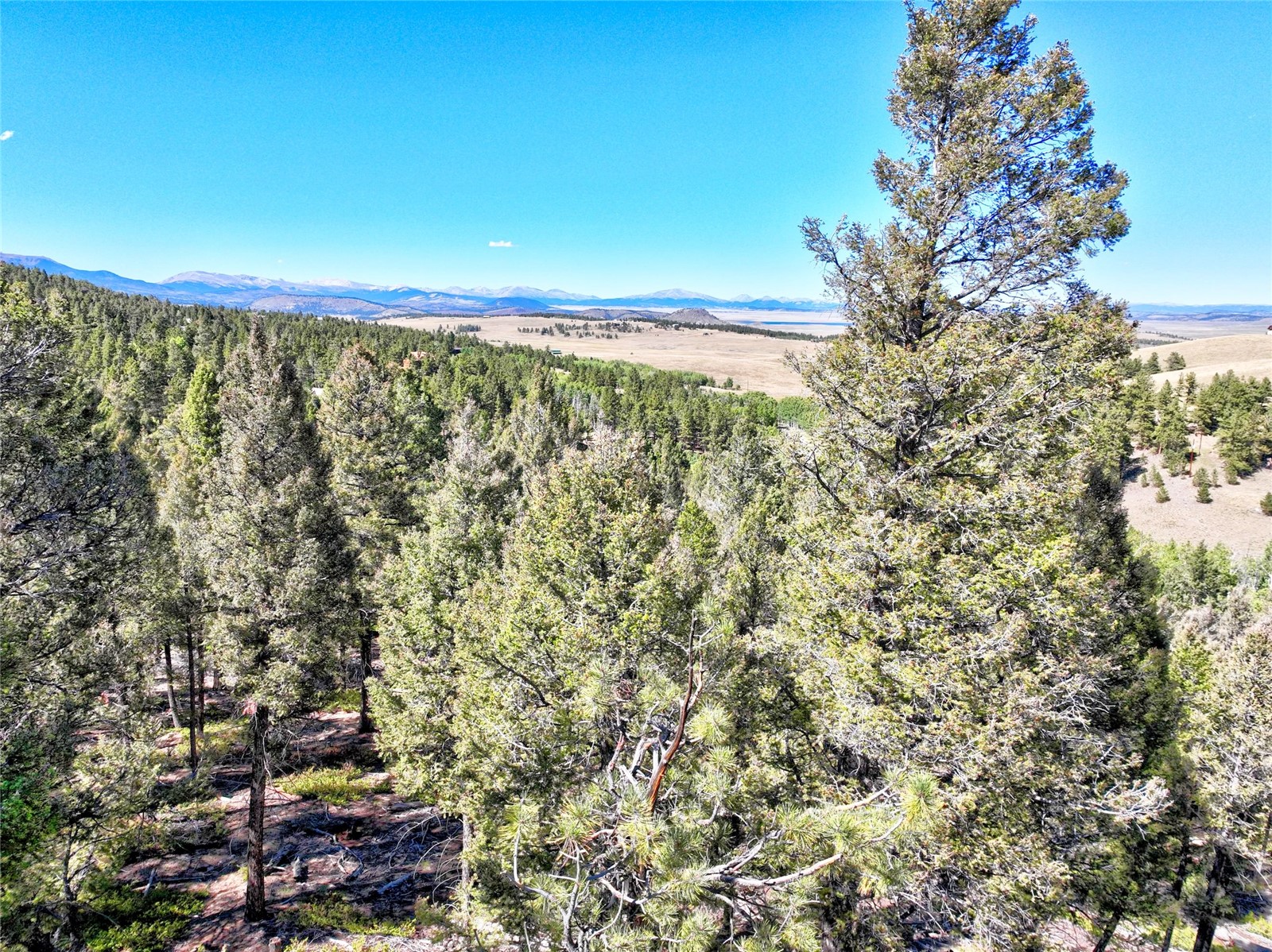 175 Blacksmith Road Hartsel, CO 80449 - Photo 6 of 19 Gallery Image 6