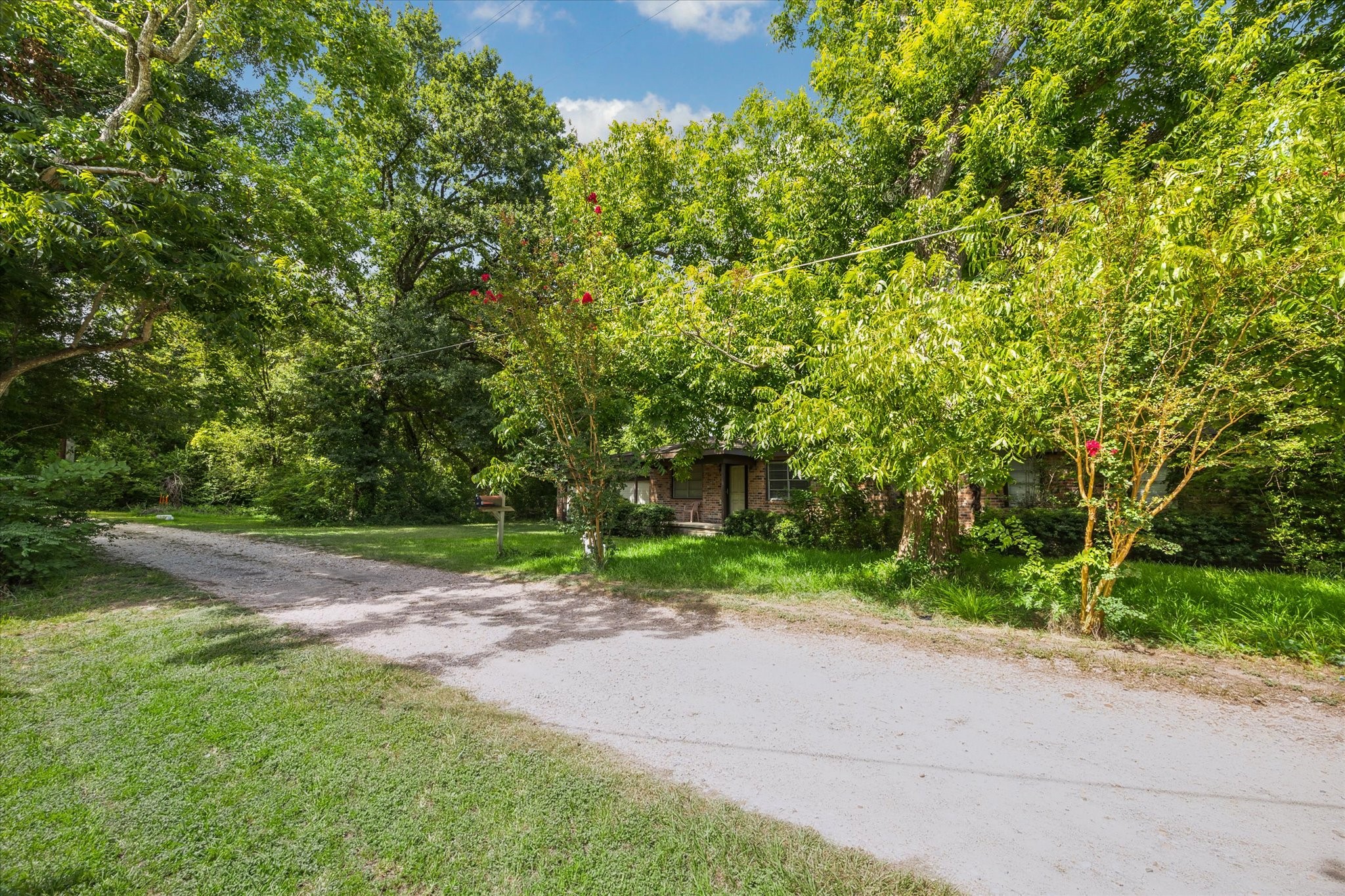 616 Spring Cypress Road Spring, TX 77373 - Photo 4 of 6 a view of a yard with plants and large trees