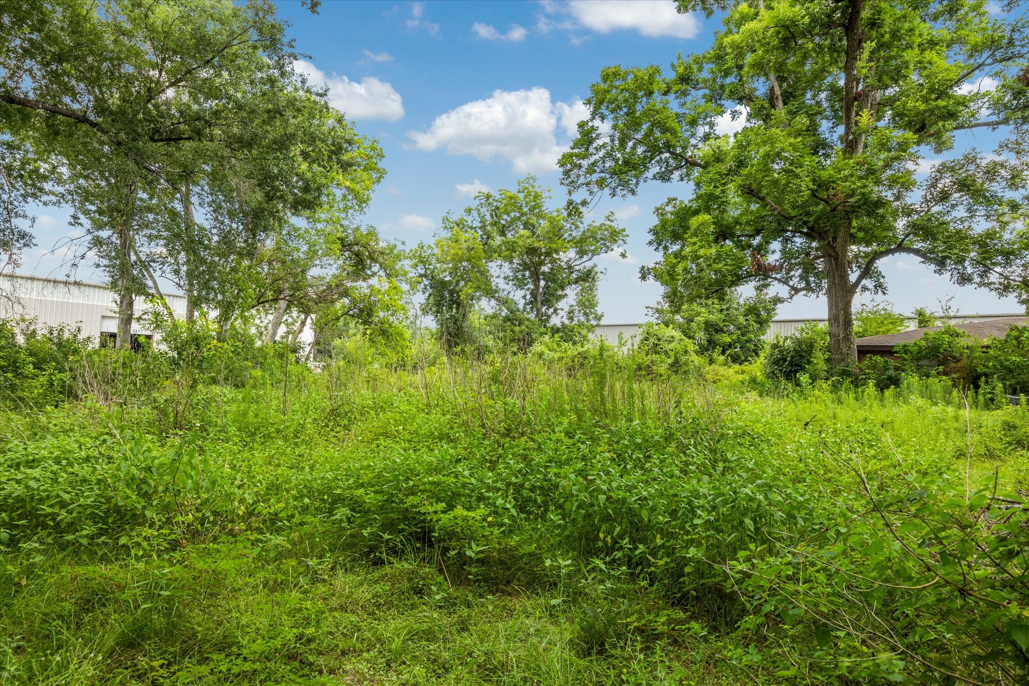616 Spring Cypress Road Spring, TX 77373 - Photo 6 of 6 a view of a garden