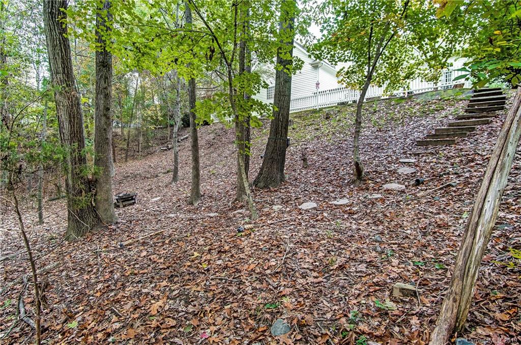 1064 Hunters Run Drive Tega Cay, SC 29708 - Photo 36 of 40 Gallery Image 36