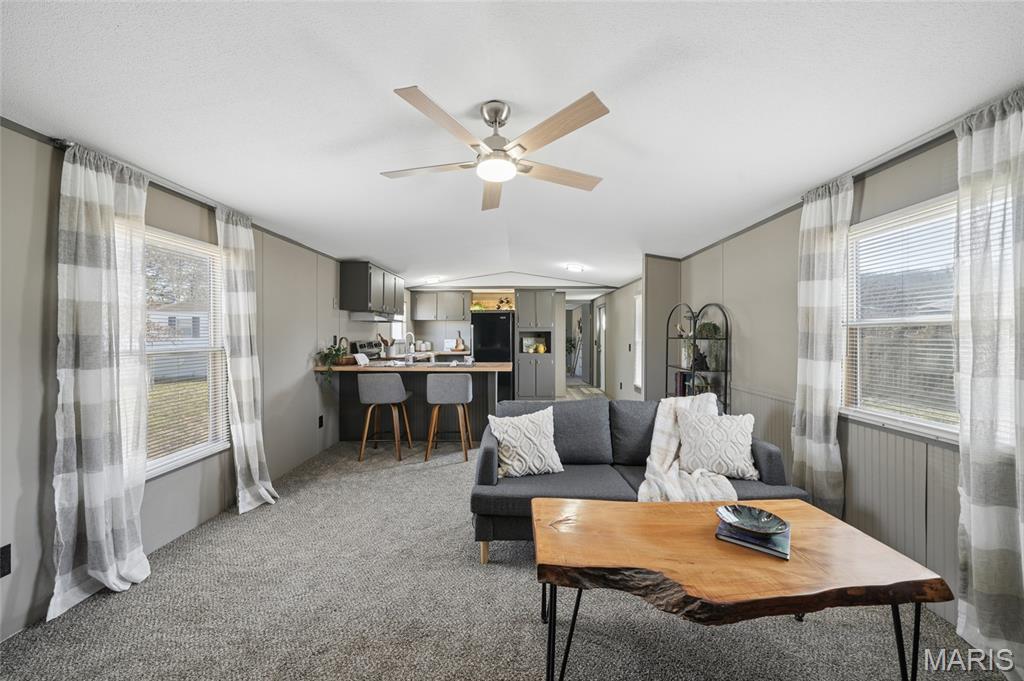 8 Cedar Ridge Court Cedar Hill, MO 63016 - Photo 4 of 16