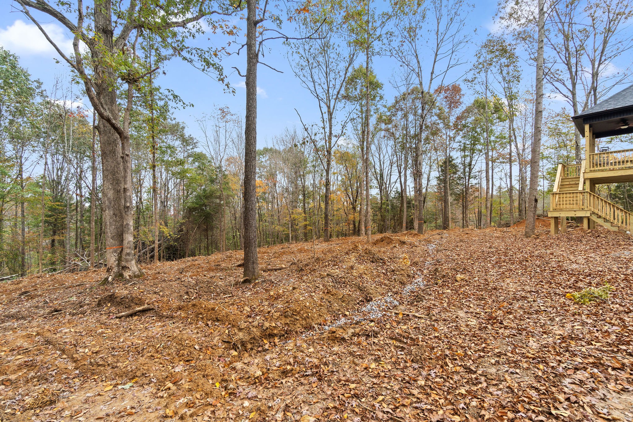 2790 Russell Road Palmyra, TN 37142 - Photo 28 of 31 a backyard of a house with lots of green space