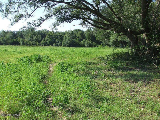 2835 Beall Packing Road Bonifay, FL 32425 - Photo 34 of 48 Gallery Image 34