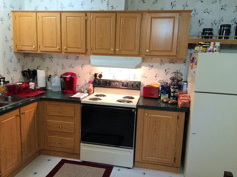 1006 Palmer Hollow Road Bybee, TN 37713 - Photo 8 of 19 08Kit01