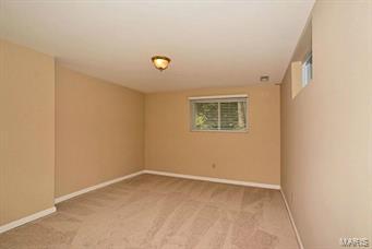 12541 Robyn Road St. Louis, MO 63127 - Photo 19 of 27 Gallery Image 19